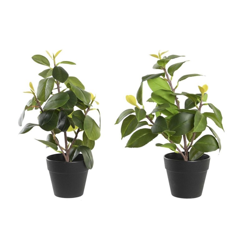 Pianta Decorativa DKD Home Decor Verde PP PE Ficus (2 Unità) (21 x 18 x 30 cm)