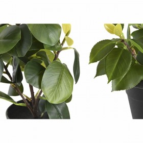 Pianta Decorativa DKD Home Decor Verde PP PE Ficus (2 Unità) (21 x 18 x 30 cm)
