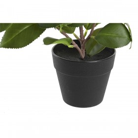 Pianta Decorativa DKD Home Decor Verde PP PE Ficus (2 Unità) (21 x 18 x 30 cm)