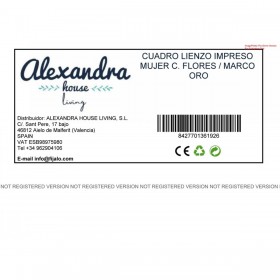 Quadro Alexandra House Living Legno Fiori Donna 100 x 4 x 140 cm