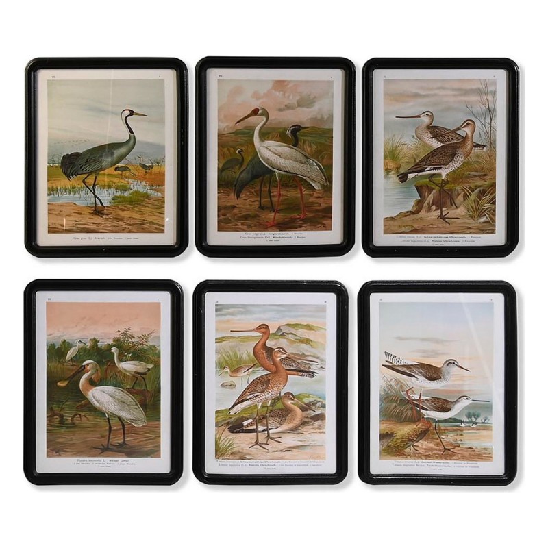 Quadro DKD Home Decor Cristallo Legno MDF Uccelli (40 x 50 x 1,8 cm) (6 Unità)