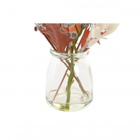 Pianta Decorativa DKD Home Decor Cristallo Dorato Marrone Polietilene Bianco (6 x 6 x 27 cm) (2 Unità)