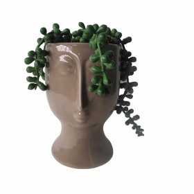 Pianta Decorativa DKD Home Decor Ceramica PE (11 x 10 x 16 cm)