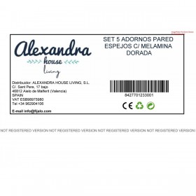 Set di Specchi Alexandra House Living Dorato Plastica 2 x 92 x 50 cm Rotondo
