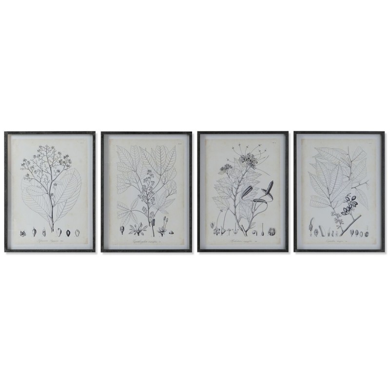 Quadro DKD Home Decor Moderno Piante botaniche 45 x 2,5 x 60 cm (4 Unità)