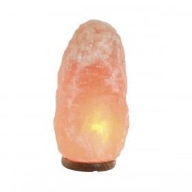 Lampada da tavolo Home ESPRIT Rosa Esci Legno di mango 15 W 220 V 17 x 14 x 35 cm