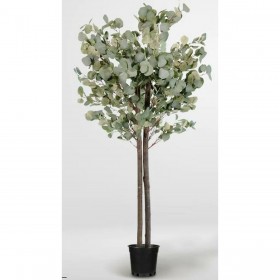 Albero Home ESPRIT Poliestere Legno Cemento Eucalipto 90 x 90 x 180 cm
