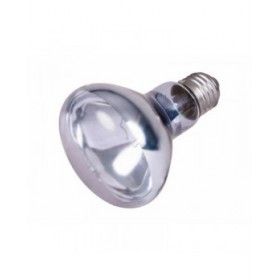 Lampadina a infrarossi Trixie