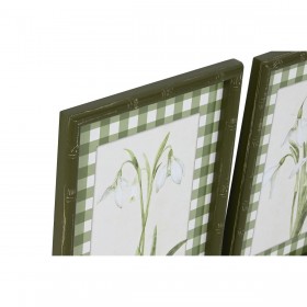 Quadro Home ESPRIT Verde Beige Shabby Chic Piante botaniche 30 x 2,5 x 40 cm (4 Unità)