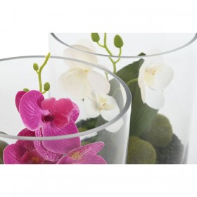 Pianta Decorativa Home ESPRIT PVC Cristallo 15 x 15 x 20 cm (2 Unità)