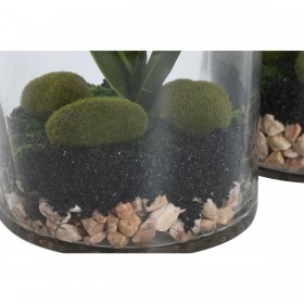 Pianta Decorativa Home ESPRIT PVC Cristallo 15 x 15 x 20 cm (2 Unità)