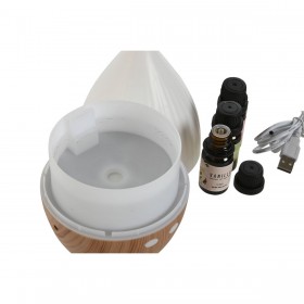 Diffusore di Oli Essenziali Home ESPRIT Città 10 ml (4 Pezzi)