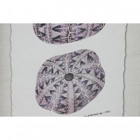 Quadro Home ESPRIT Corallo 35 x 2 x 45 cm (9 Unità)