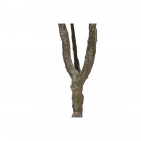 Albero Home ESPRIT Polietilene 80 x 80 x 150 cm