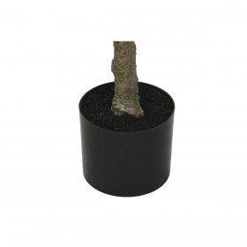 Albero Home ESPRIT Polietilene 80 x 80 x 150 cm