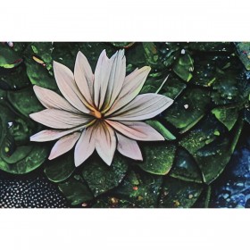 Quadro Home ESPRIT Stampato 150 x 0,4 x 100 cm