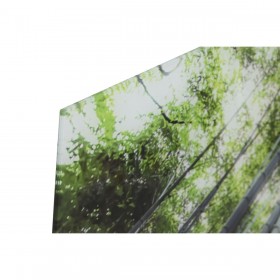 Quadro Home ESPRIT Verde Stampato 150 x 0,4 x 100 cm