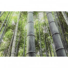 Quadro Home ESPRIT Verde Stampato 150 x 0,4 x 100 cm