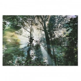 Quadro Home ESPRIT Verde Stampato 150 x 0,4 x 100 cm