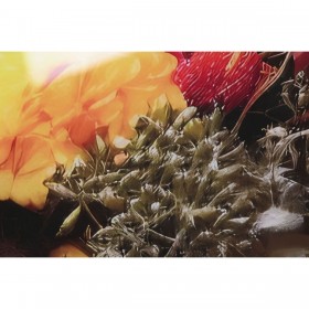 Quadro Home ESPRIT Stampato 120 x 0,4 x 120 cm