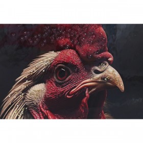 Quadro Home ESPRIT Nero Animale Loft Laccato 64 x 4,5 x 84 cm (4 Unità)