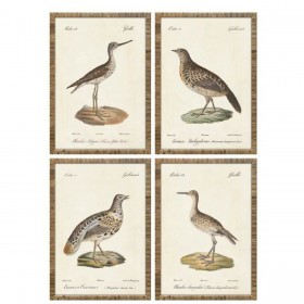 Quadro Home ESPRIT Beige Uccelli Cottage 40 x 2,5 x 50 cm (4 Unità)