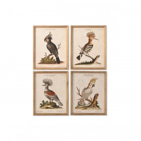 Quadro Home ESPRIT Beige Tropicale 40 x 2 x 50 cm (4 Unità)