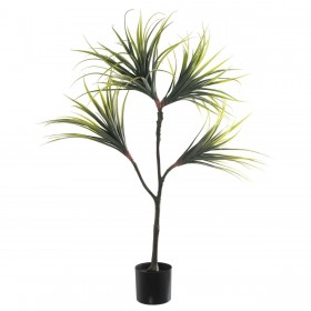 Pianta Decorativa Alexandra House Living Plastica Dracaena 15 x 27 x 121 cm