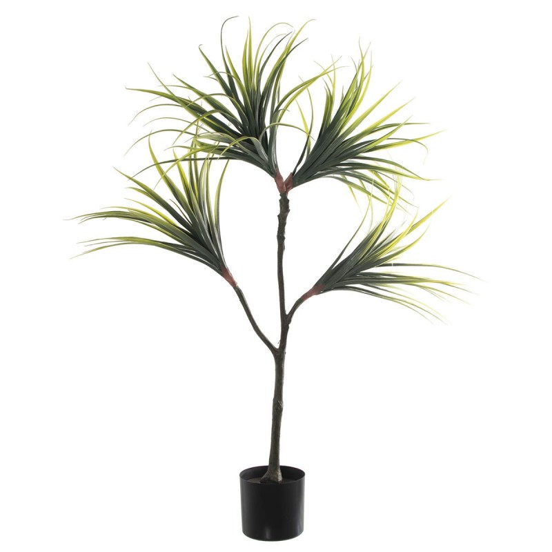 Pianta Decorativa Alexandra House Living Plastica Dracaena 15 x 27 x 121 cm