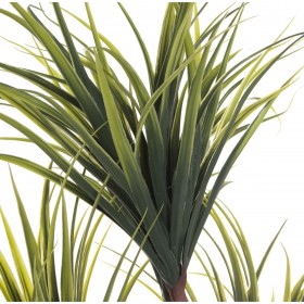 Pianta Decorativa Alexandra House Living Plastica Dracaena 15 x 27 x 121 cm