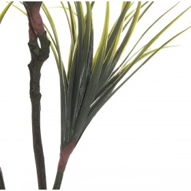 Pianta Decorativa Alexandra House Living Plastica Dracaena 15 x 27 x 121 cm