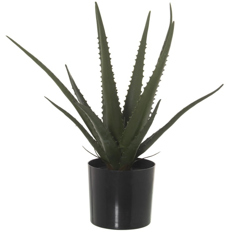 Pianta Decorativa Alexandra House Living Plastica Aloe Vera 11 x 11 x 39 cm