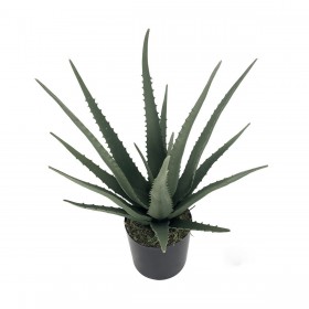 Pianta Decorativa Alexandra House Living Plastica Aloe Vera 11 x 11 x 39 cm