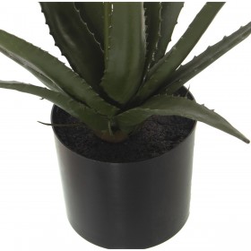 Pianta Decorativa Alexandra House Living Plastica Aloe Vera 11 x 11 x 39 cm