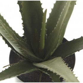 Pianta Decorativa Alexandra House Living Plastica Aloe Vera 11 x 11 x 39 cm