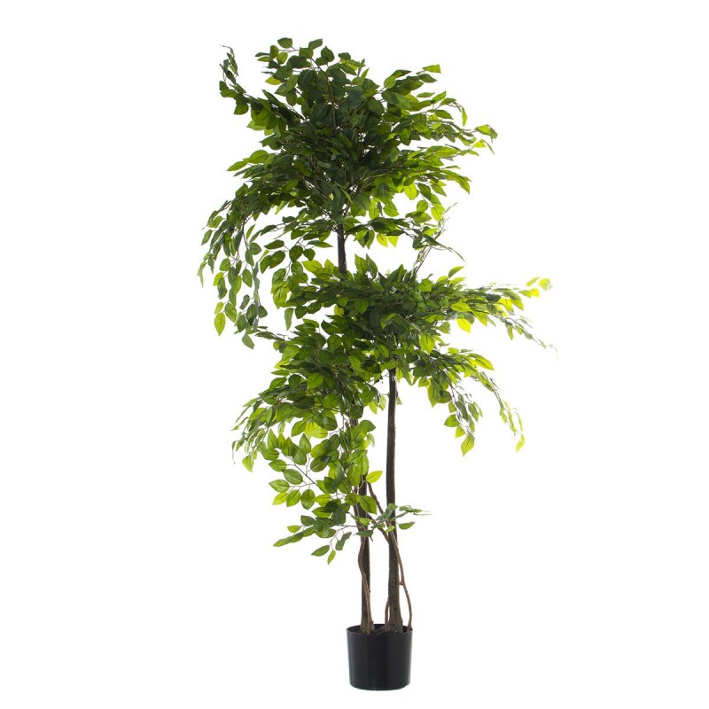 Pianta Decorativa Alexandra House Living Plastica Ficus 18 x 22 x 162 cm