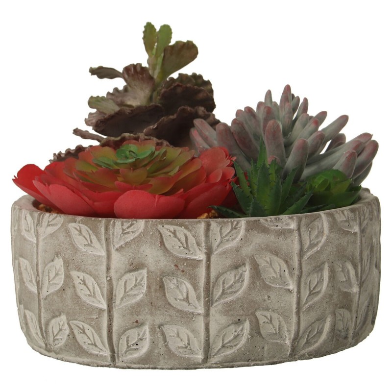 Pianta Decorativa Alexandra House Living Plastica Succulenta 20 x 21 x 18 cm
