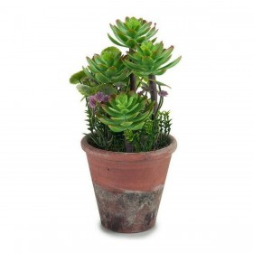 Pianta Decorativa Ibergarden XD16-849 Plastica