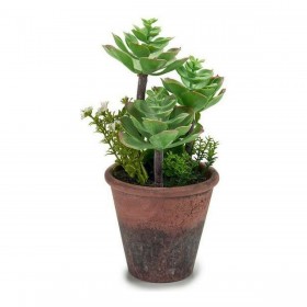 Pianta Decorativa Ibergarden XD16-849 Plastica