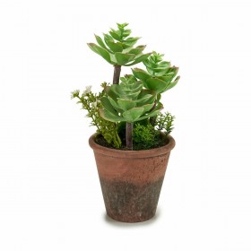 Pianta Decorativa Ibergarden XD16-849 Plastica Succulenta 16 x 23 x 16 cm (12 Unità)