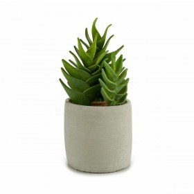 Pianta Decorativa Ibergarden YCX17941 Plastica Succulenta 12 x 24 x 12 cm (6 Unità)