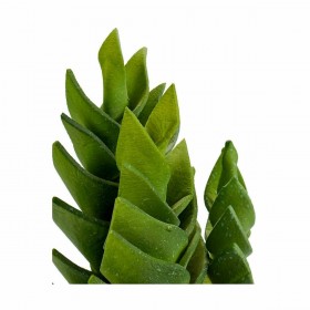 Pianta Decorativa Ibergarden YCX17941 Plastica Succulenta 12 x 24 x 12 cm (6 Unità)