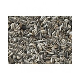 Mangime per uccelli Deli Nature Premium