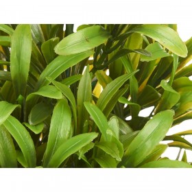 Pianta Decorativa Ibergarden 547 Plastica 18 x 35 x 16 cm (6 Unità)