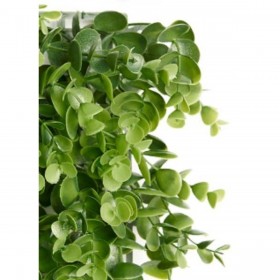 Giardino Verticale Ibergarden Verde Plastica Fogli 50 x 50 cm