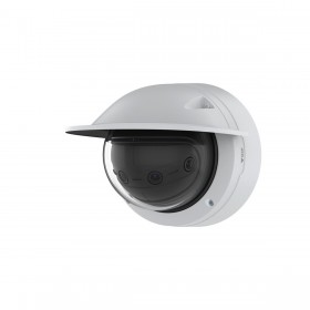 Videocamera di Sorveglianza Axis 02450-001