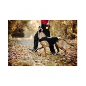 Imbracatura per Cani Julius K9 IDC L/XL 2
