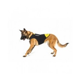 Imbracatura per Cani Julius K9 IDC L/XL 2