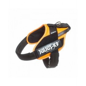 Imbracatura per Cani Julius K9 IDC Arancio L/XL 2 71-96 cm