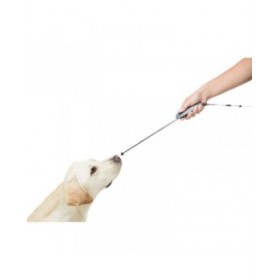 Collare per Cani Trixie Rustic Marrone scuro S/M 34-40 cm